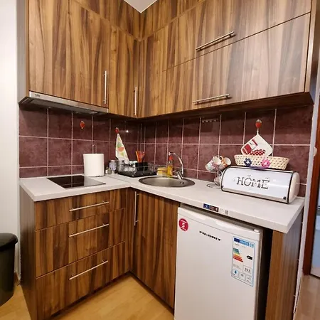Apartamento Kokotovic *